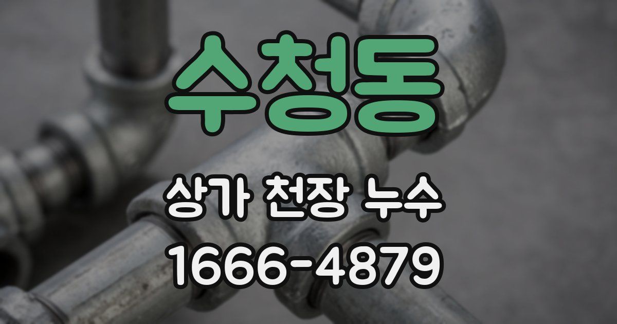 수청동 상가 천장 누수