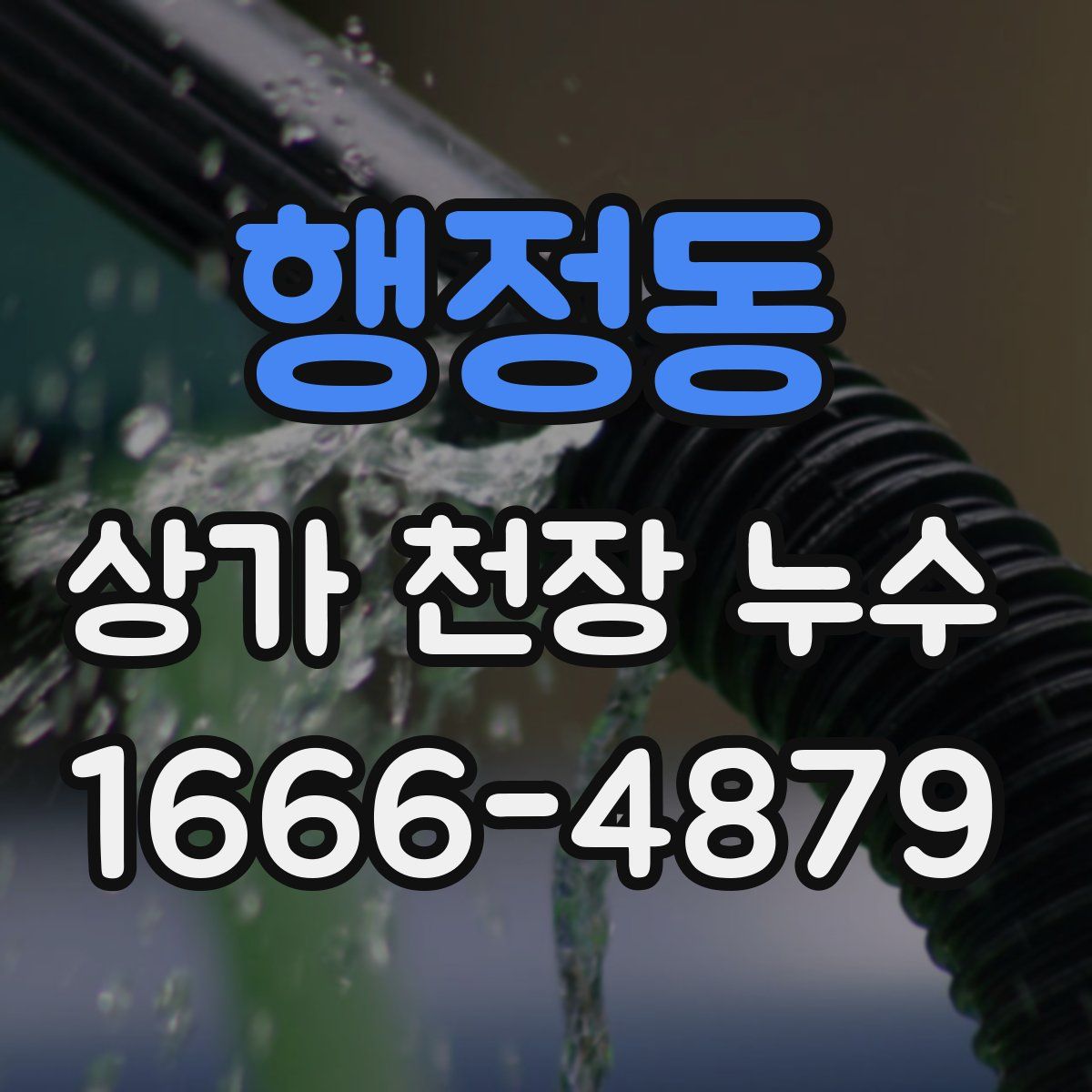 행정동 상가 천장 누수