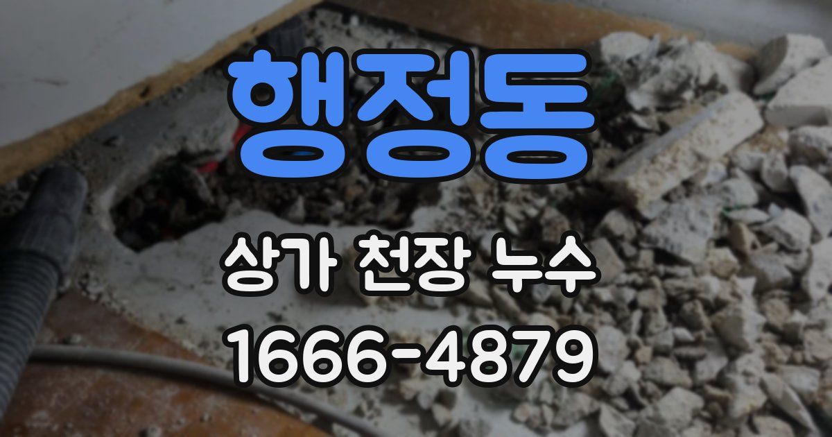행정동 상가 천장 누수