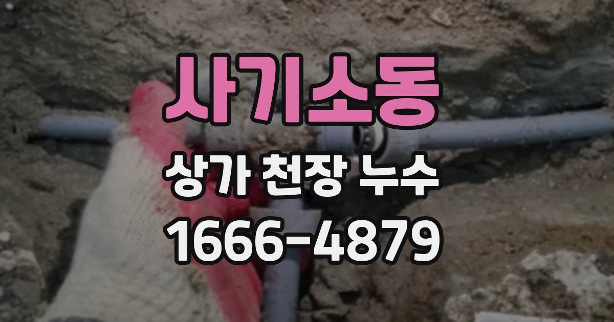 사기소동 상가 천장 누수