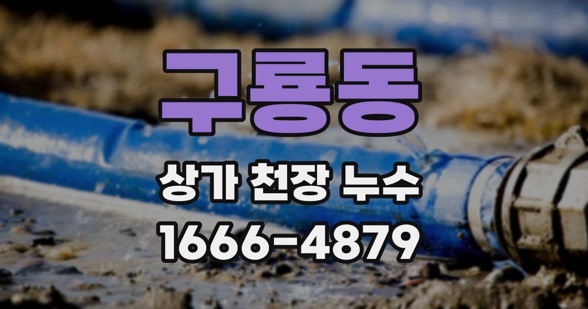 구룡동 상가 천장 누수