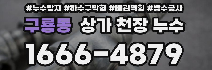 구룡동 상가 천장 누수