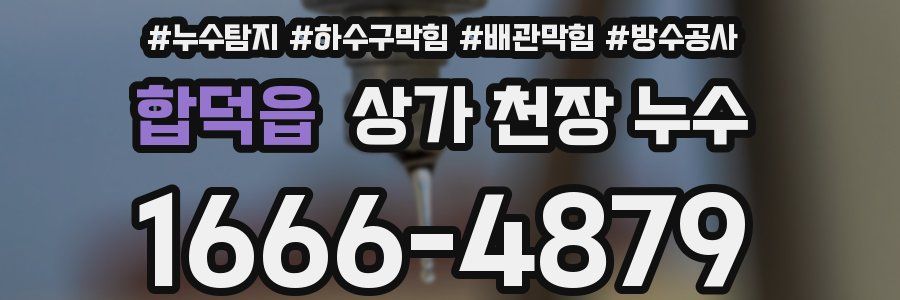 합덕읍 상가 천장 누수