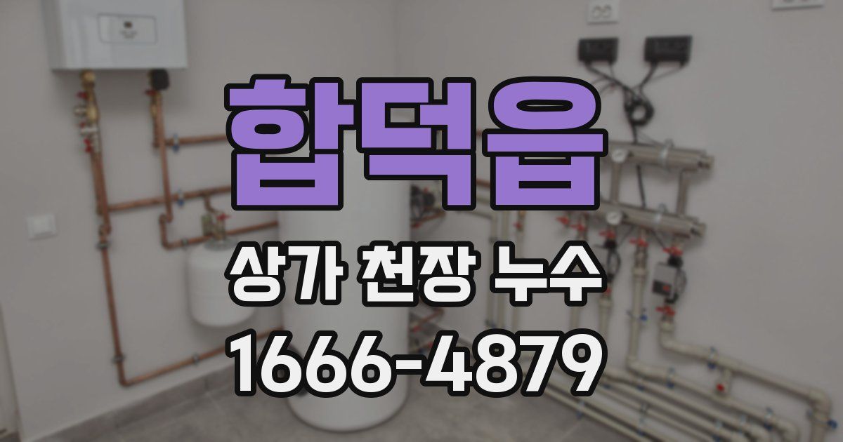 합덕읍 상가 천장 누수
