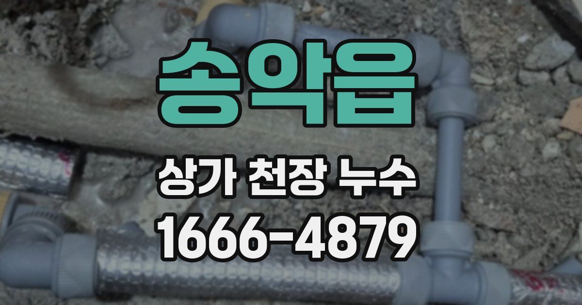 송악읍 상가 천장 누수