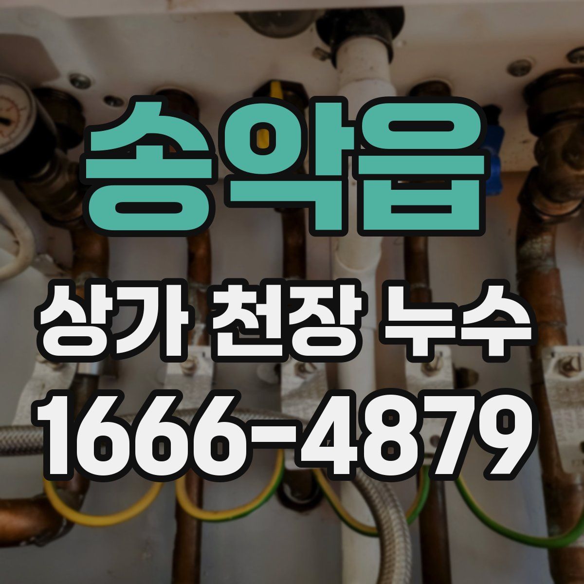 송악읍 상가 천장 누수