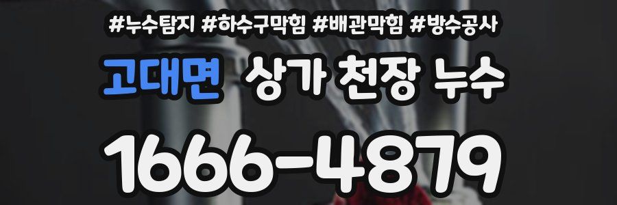 고대면 상가 천장 누수