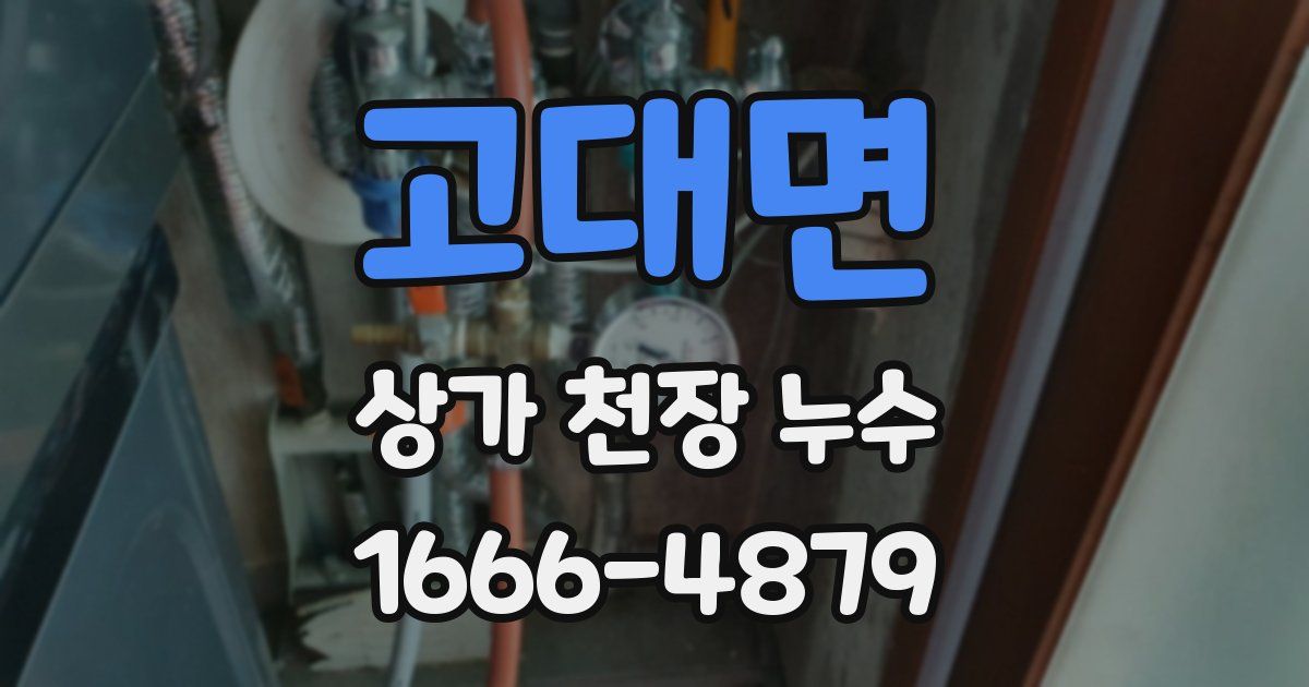 고대면 상가 천장 누수