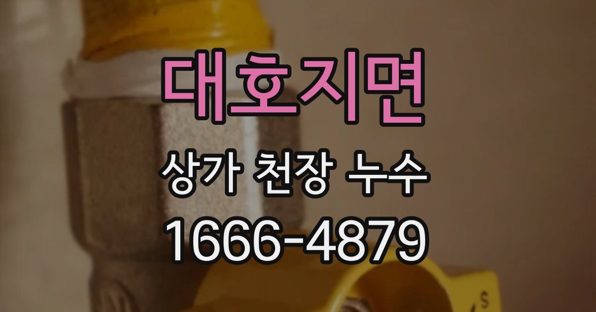 대호지면 상가 천장 누수