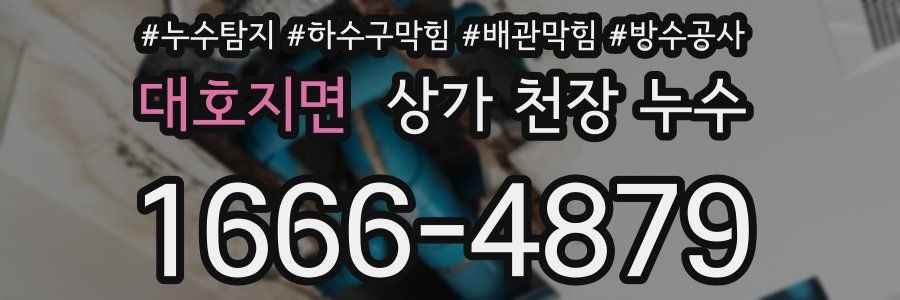 대호지면 상가 천장 누수