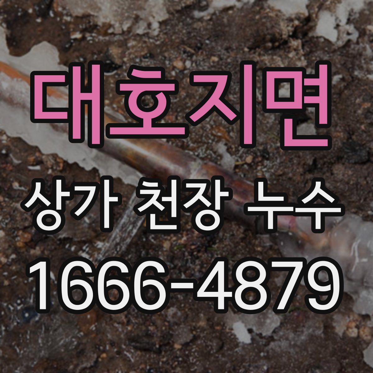 대호지면 상가 천장 누수
