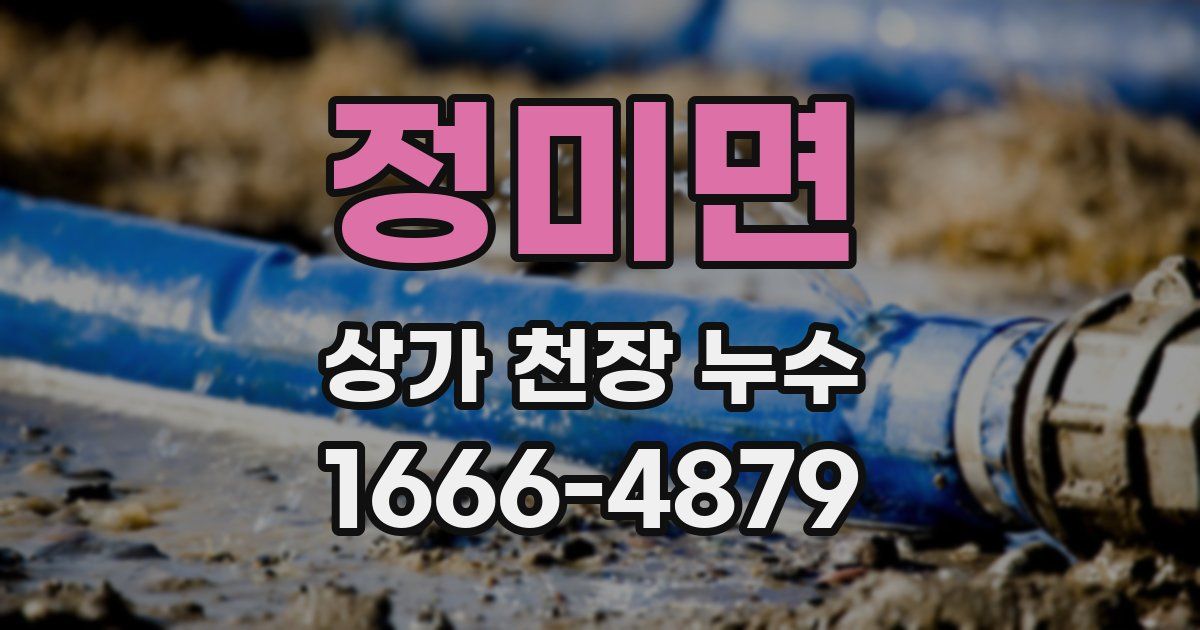 정미면 상가 천장 누수