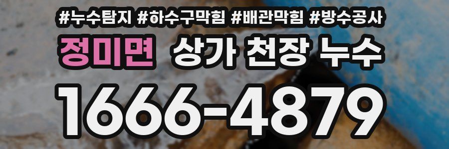 정미면 상가 천장 누수