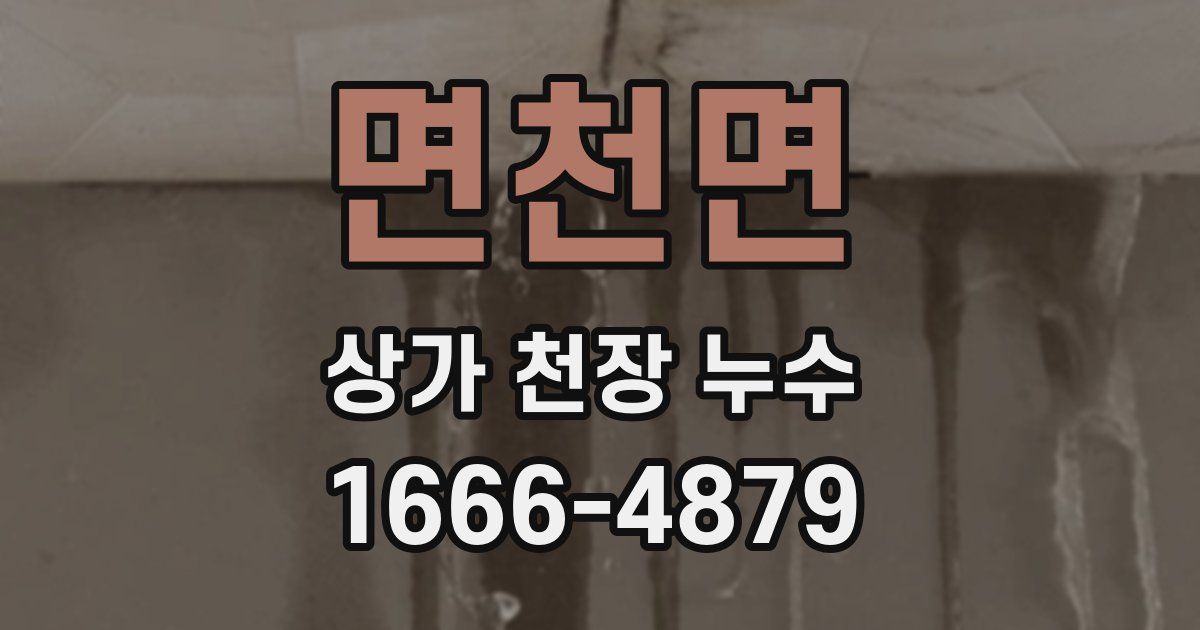 면천면 상가 천장 누수