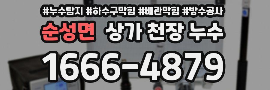 순성면 상가 천장 누수
