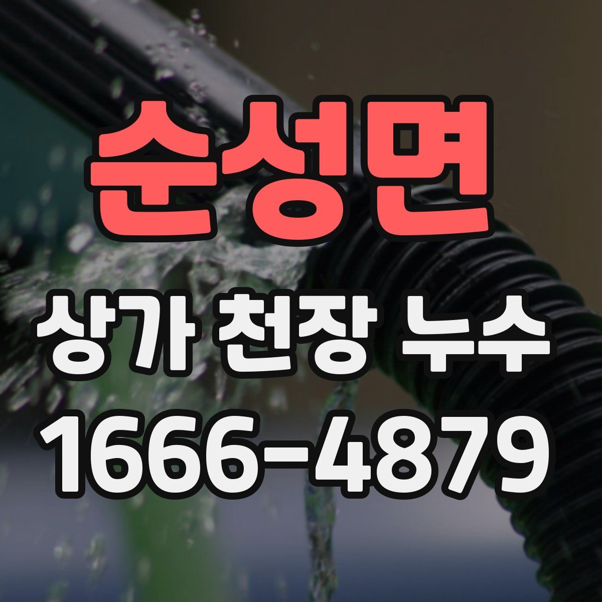 순성면 상가 천장 누수
