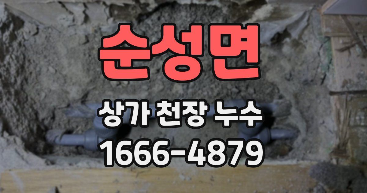 순성면 상가 천장 누수