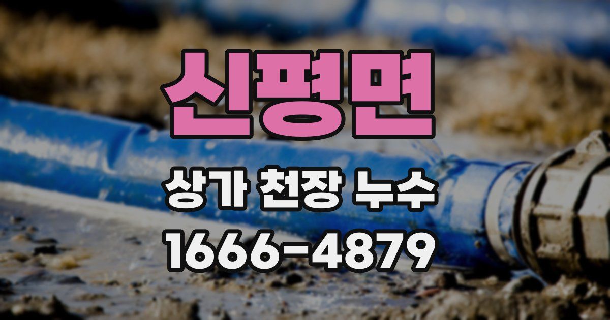 신평면 상가 천장 누수