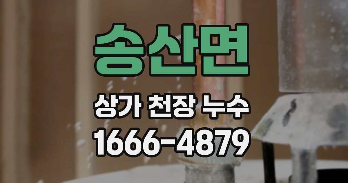 송산면 상가 천장 누수