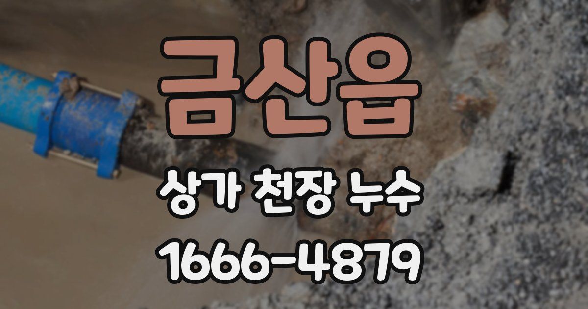금산읍 상가 천장 누수