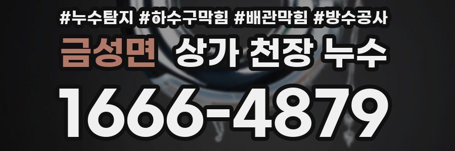 금성면 상가 천장 누수