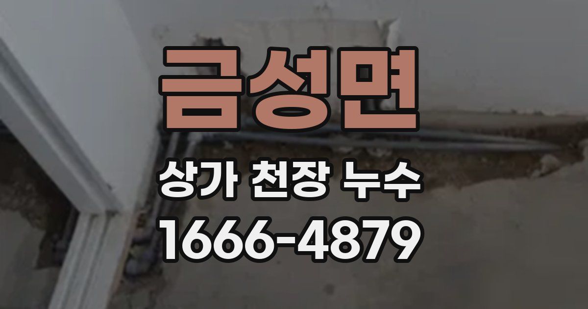 금성면 상가 천장 누수