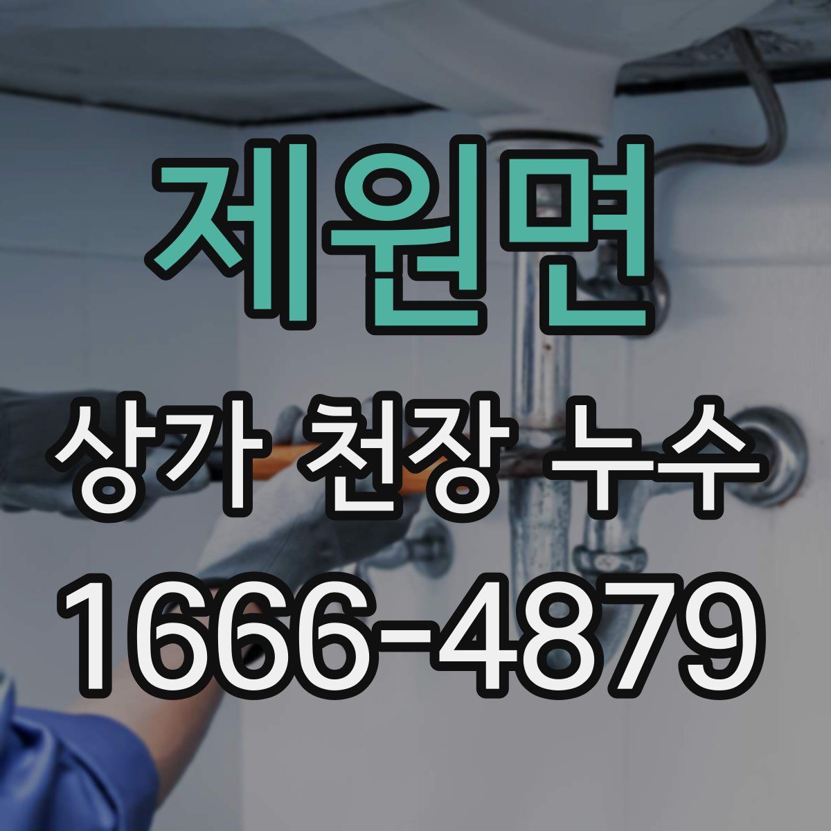 제원면 상가 천장 누수