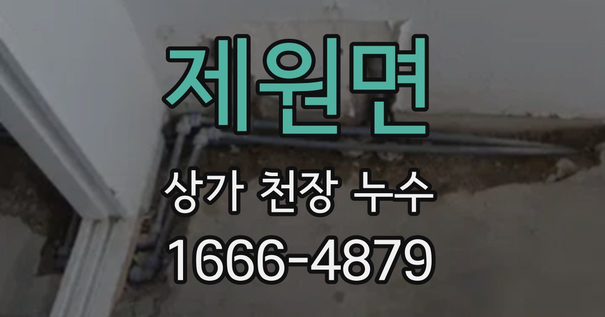 제원면 상가 천장 누수