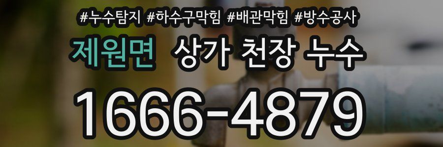제원면 상가 천장 누수