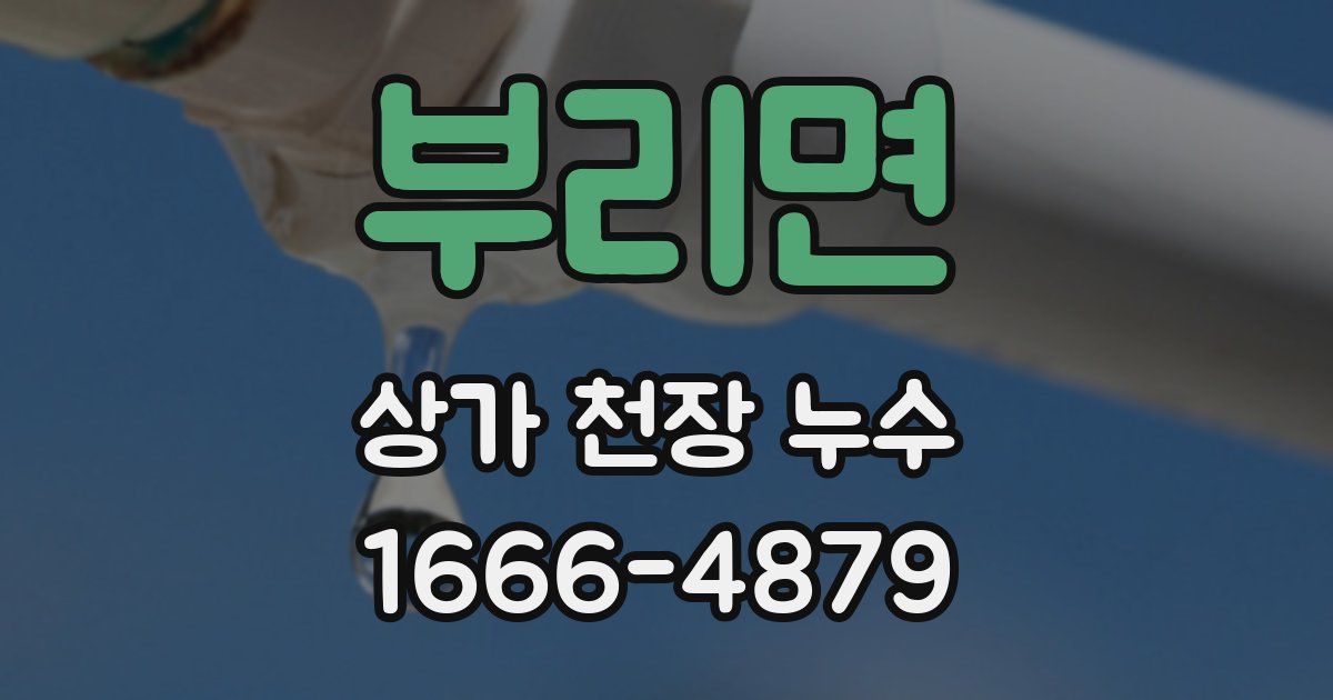 부리면 상가 천장 누수