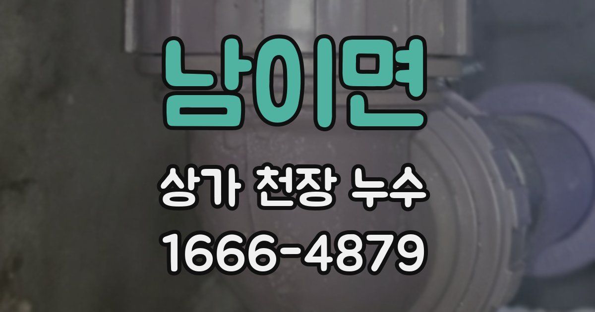남이면 상가 천장 누수