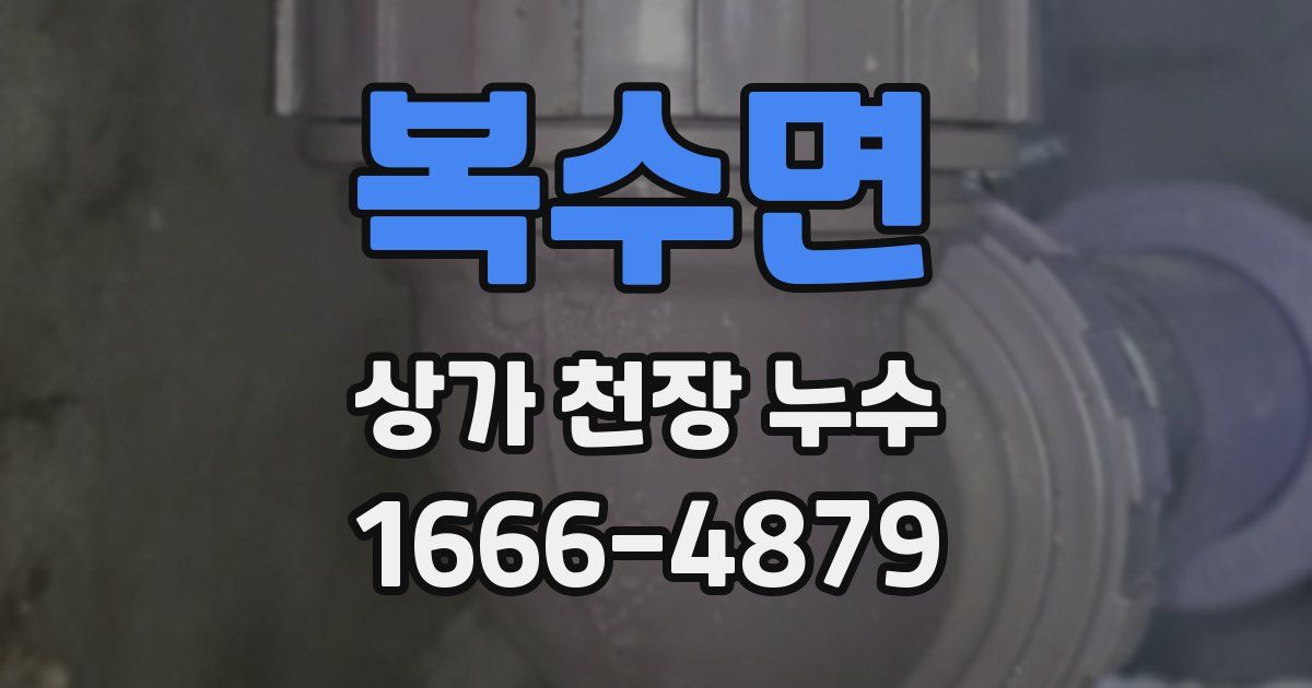 복수면 상가 천장 누수