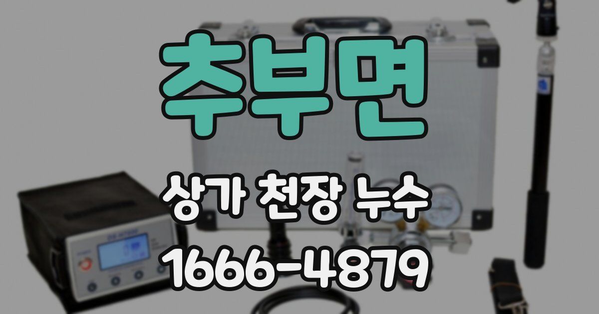 추부면 상가 천장 누수