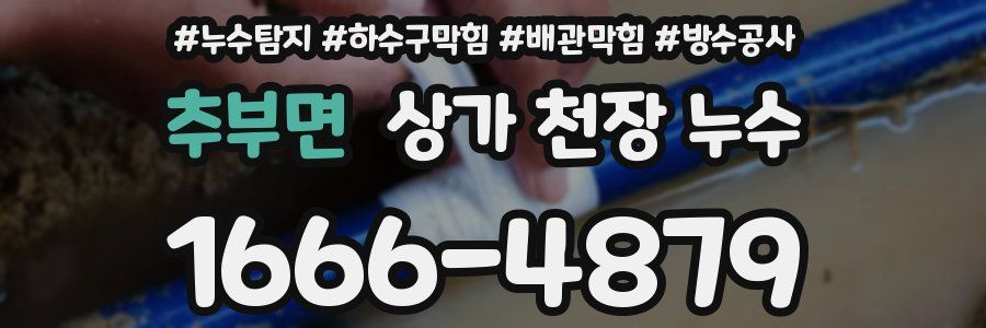 추부면 상가 천장 누수