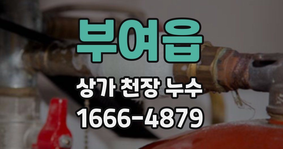 부여읍 상가 천장 누수
