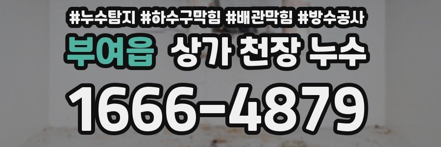 부여읍 상가 천장 누수