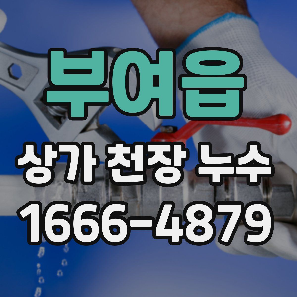 부여읍 상가 천장 누수