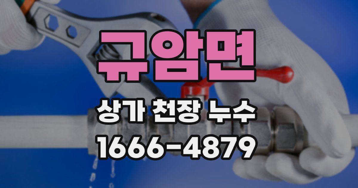 규암면 상가 천장 누수