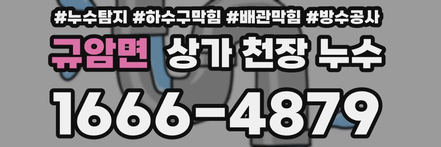 규암면 상가 천장 누수