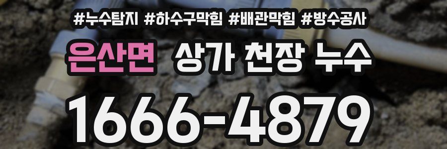 은산면 상가 천장 누수