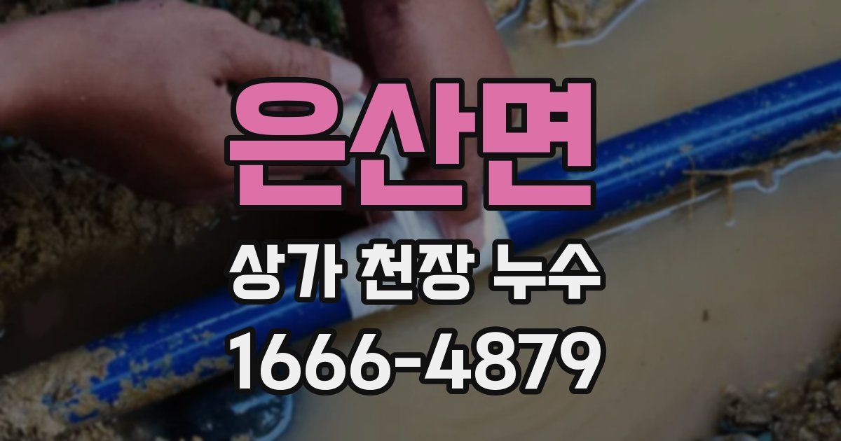 은산면 상가 천장 누수