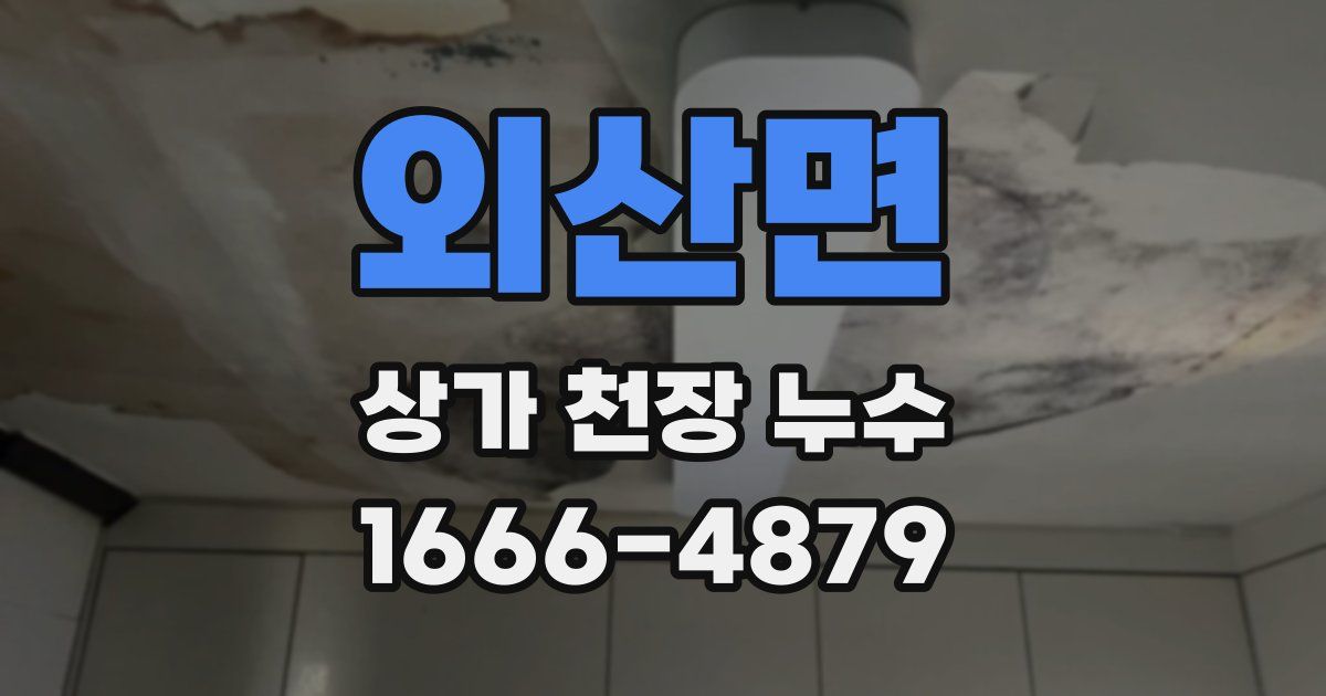 외산면 상가 천장 누수