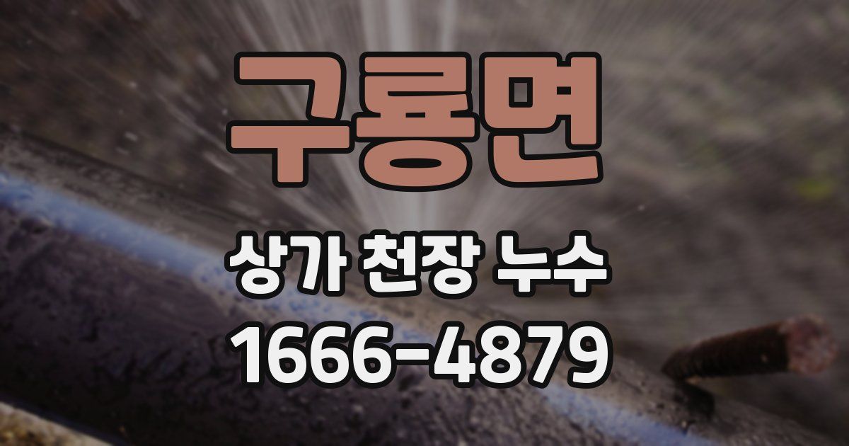 구룡면 상가 천장 누수