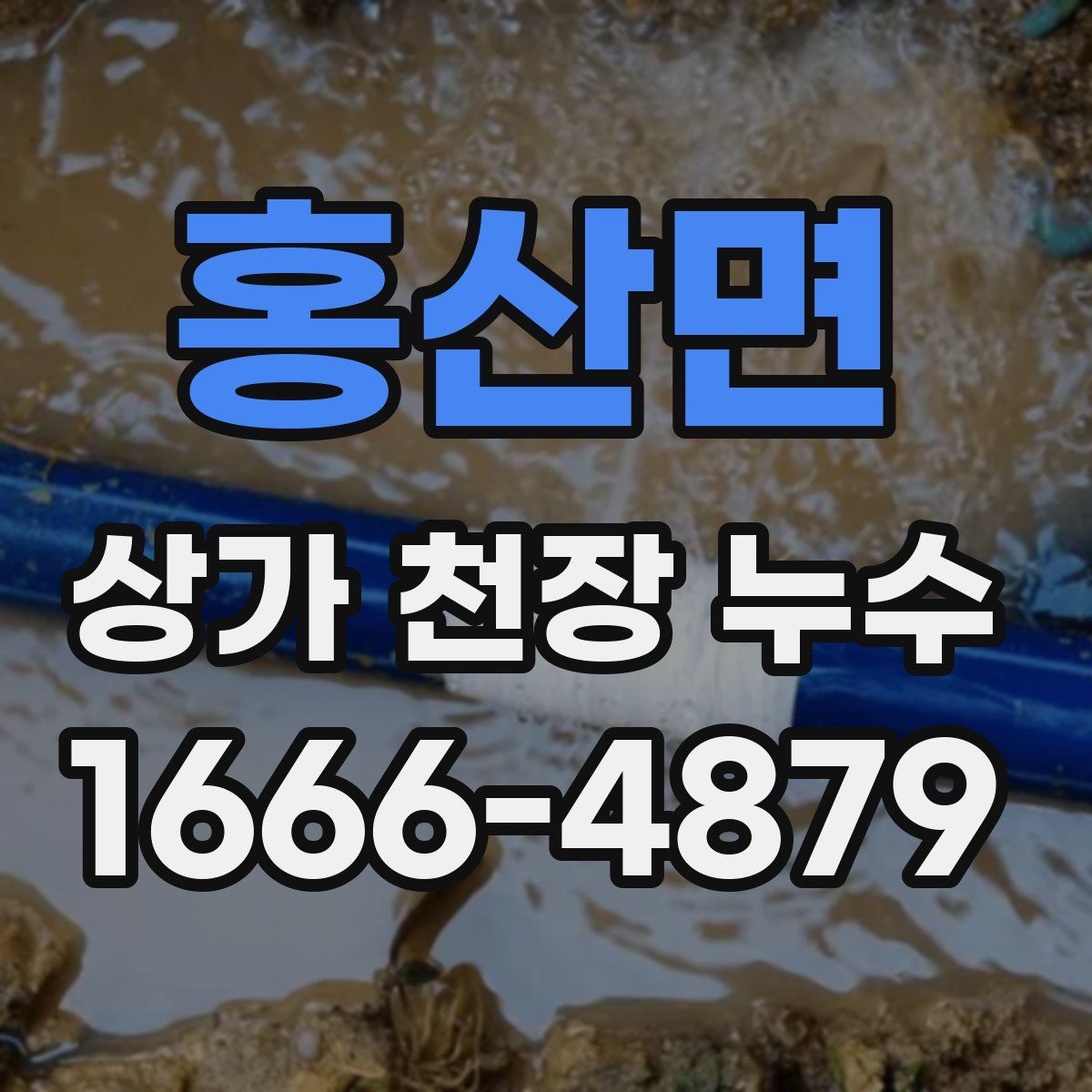 홍산면 상가 천장 누수