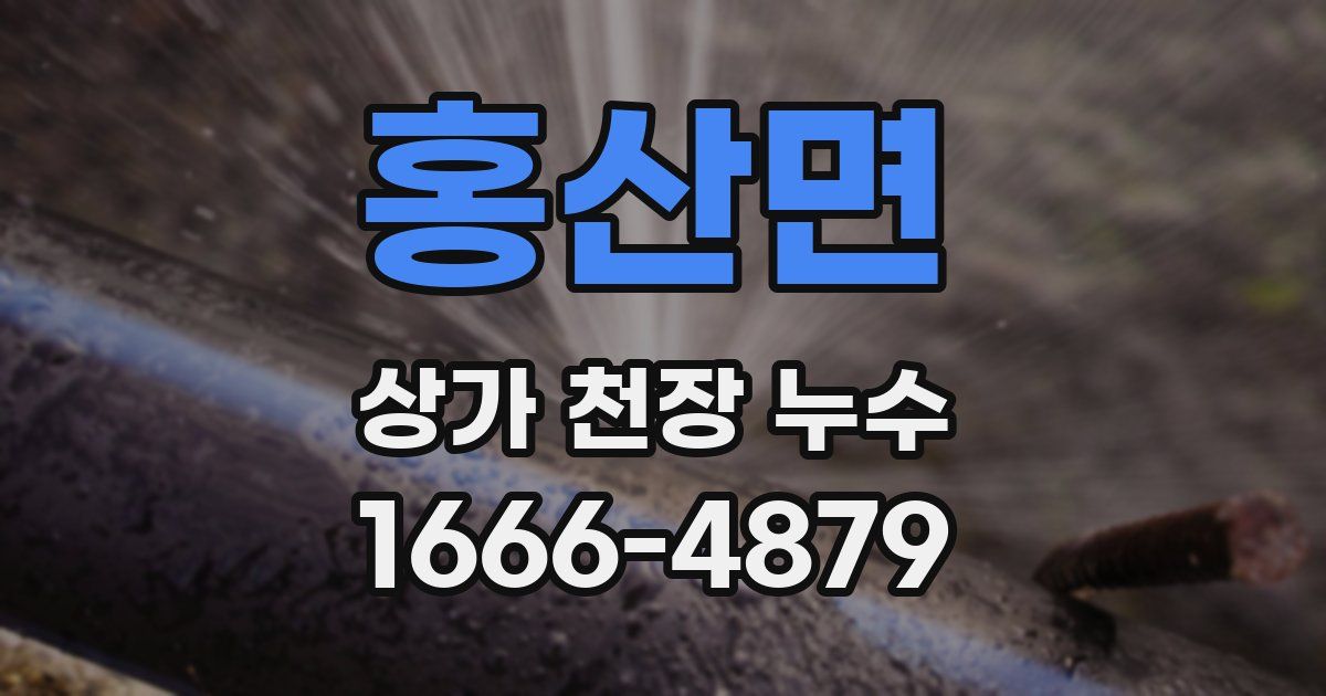 홍산면 상가 천장 누수