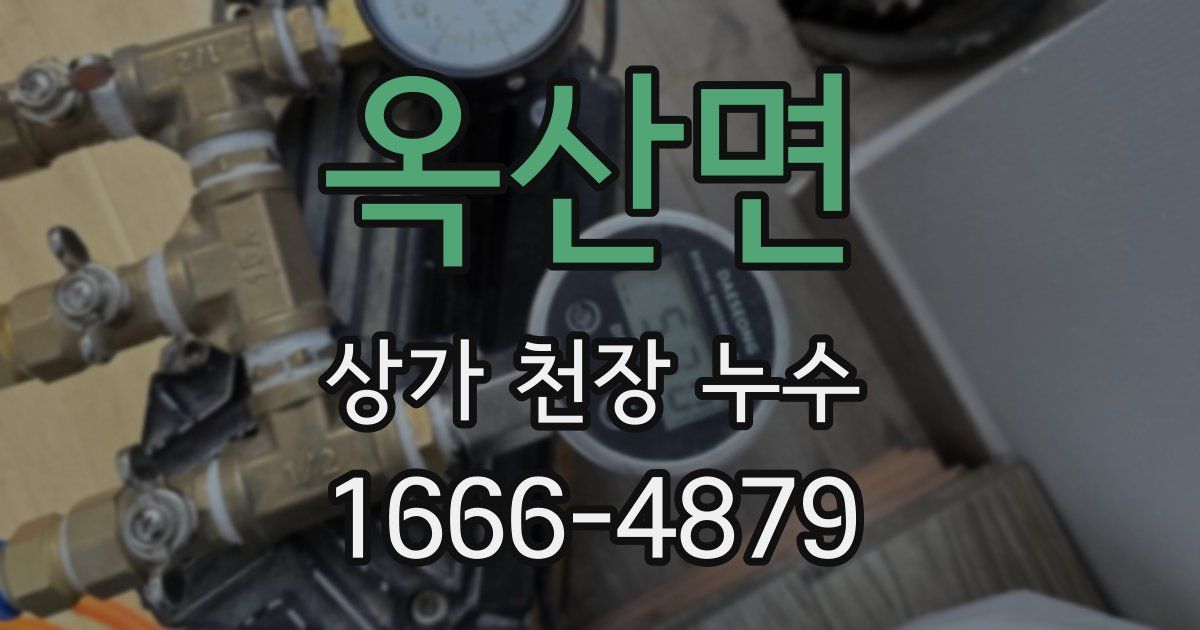 옥산면 상가 천장 누수