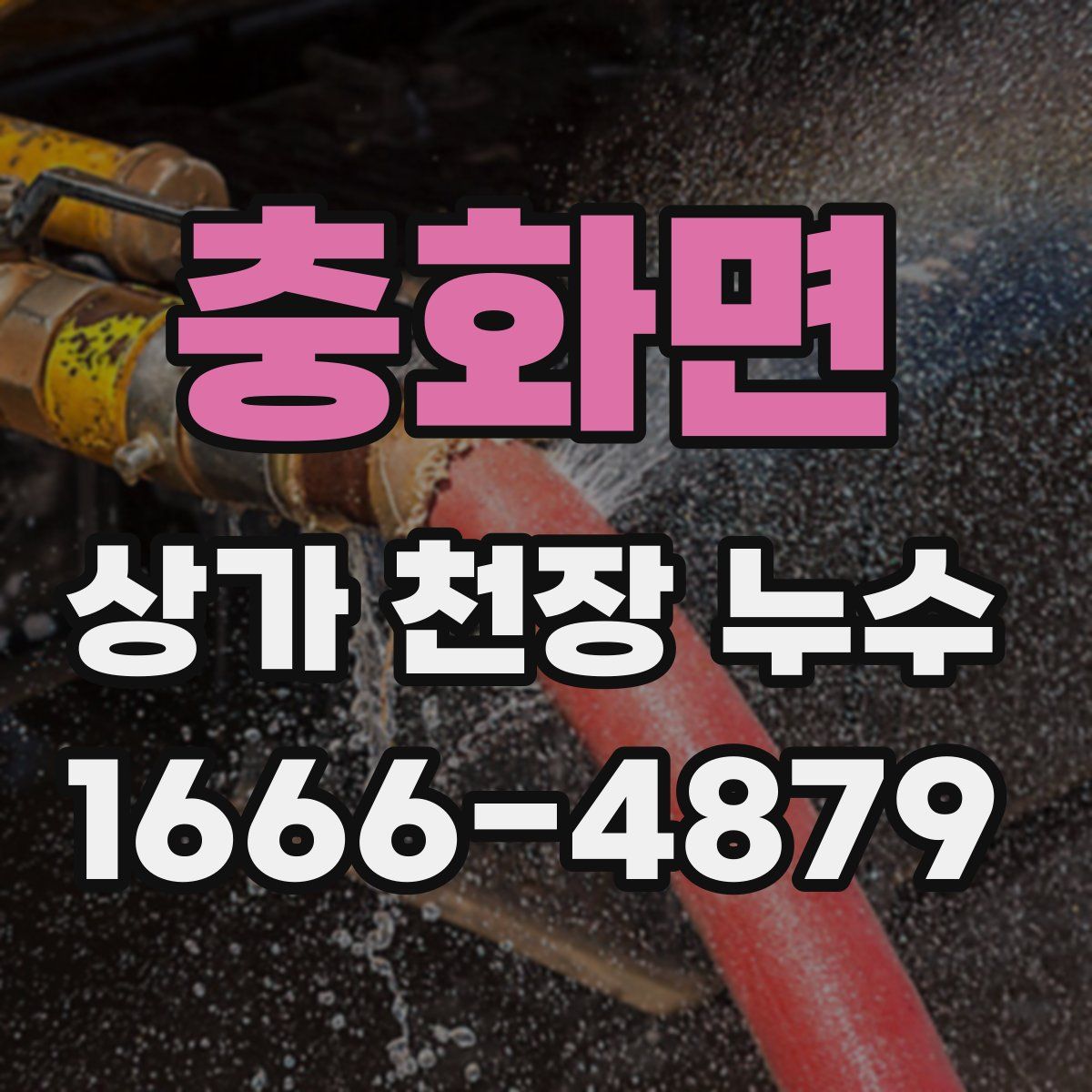 충화면 상가 천장 누수