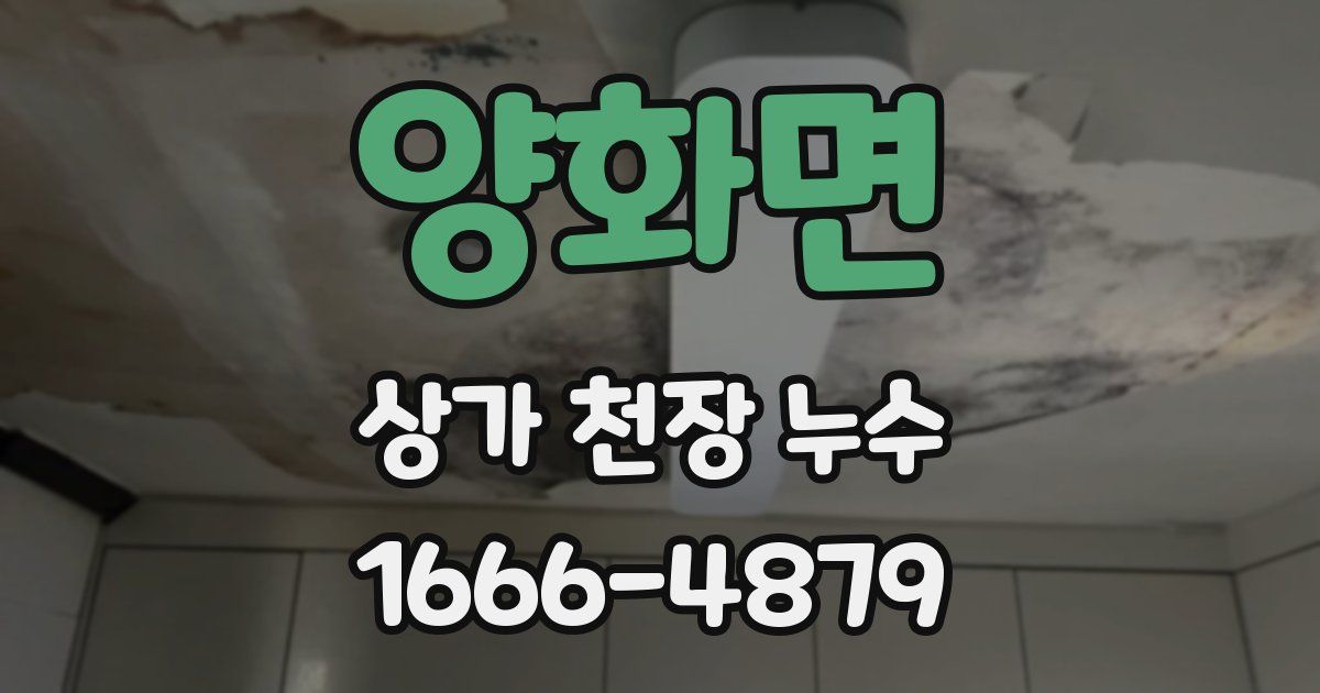 양화면 상가 천장 누수