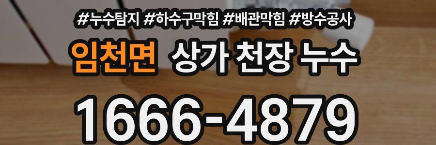 임천면 상가 천장 누수