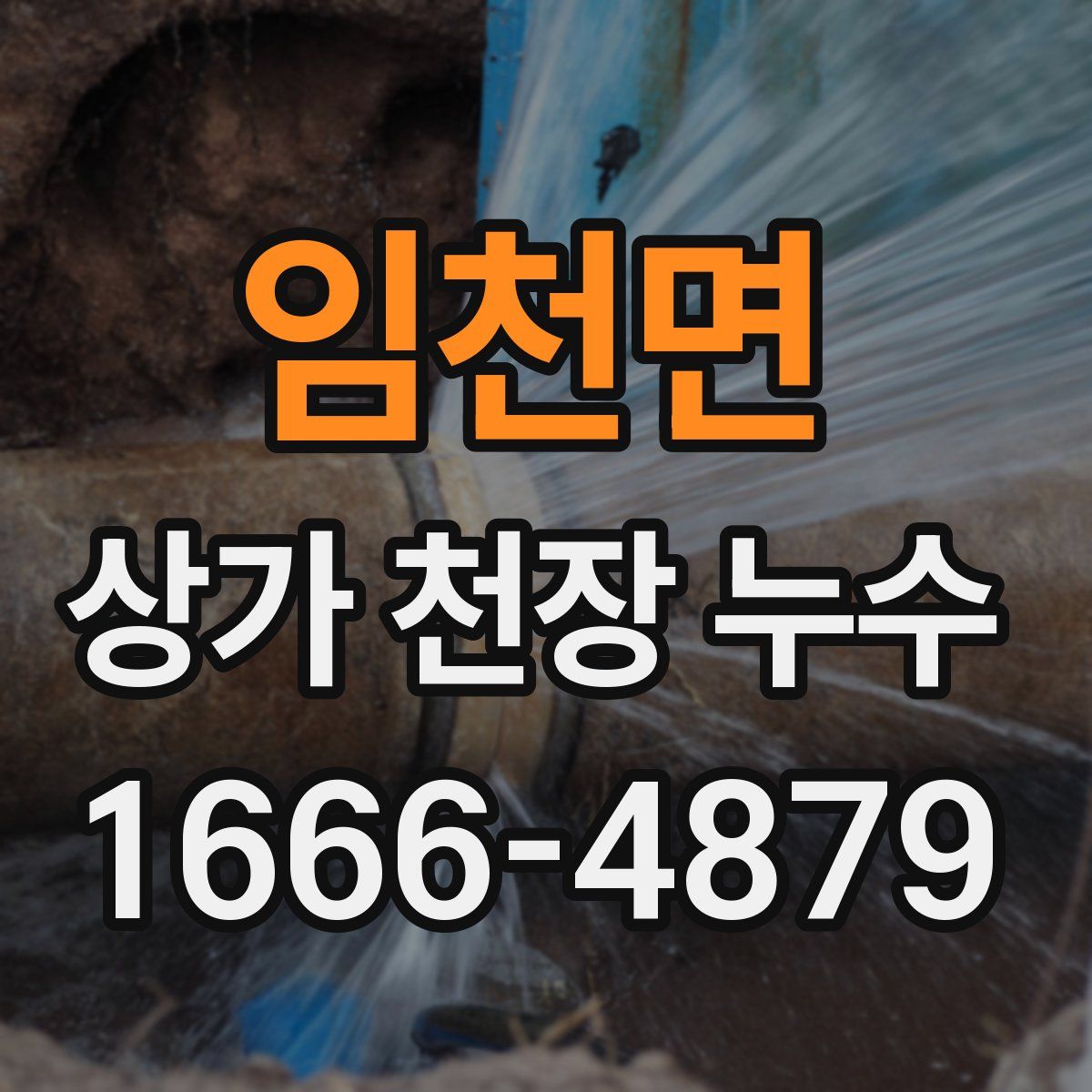 임천면 상가 천장 누수